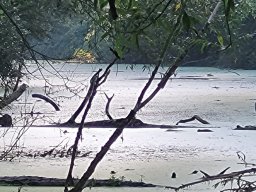 WhatsApp Image 2023-09-10 at 09.47.34(2)